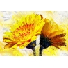 Sárga Virág Poszter 027