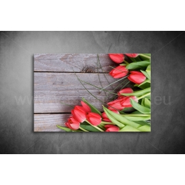 Piros Tulipánok Poszter 017