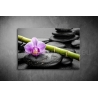 Orchidea kövekkel poszter 023