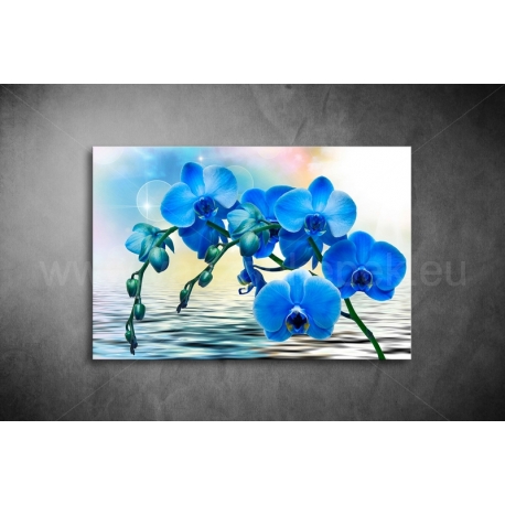 Kék Orchidea Poszter 041
