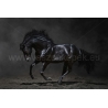 Fekete Ló Poszter 022