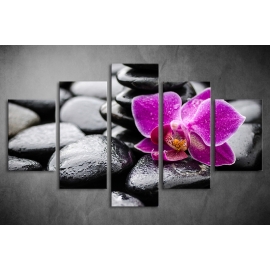 Többrészes Orchidea, Lávakövek poszter 007 - (választható formák)