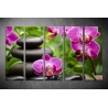 Többrészes Orchidea poszter 009 - (választható formák)