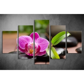 Többrészes Orchidea poszter 011 - (választható formák)