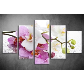 Többrészes Orchidea poszter 012 - (választható formák)