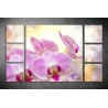 Többrészes Orchidea poszter 019 - (választható formák)