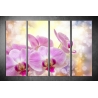 Többrészes Orchidea poszter 019 - (választható formák)