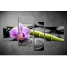 Többrészes Orchidea, Lávakövek poszter 023 - (választható formák)