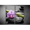 Többrészes Orchidea, Lávakövek poszter 023 - (választható formák)