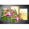 Többrészes Orchidea poszter 024 - (választható formák)