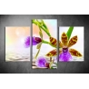 Többrészes Orchidea poszter 039 - (választható formák)