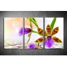 Többrészes Orchidea poszter 039 - (választható formák)
