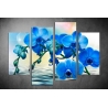 Többrészes Kék Orchidea poszter 041 - (választható formák)