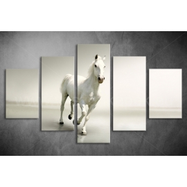 Többrészes Fehér Ló poszter 011 - (választható formák)