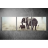 Többrészes Elefántok poszter 040 - (választható formák)